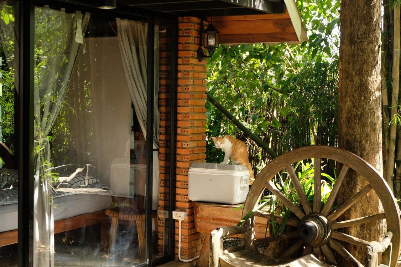 Ashi Guesthouse Chiangdao تْشينغْ داوْ المظهر الخارجي الصورة